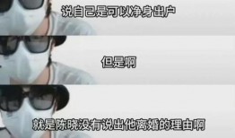 狗仔离谱爆料视频大全集,视频大全集深度解析